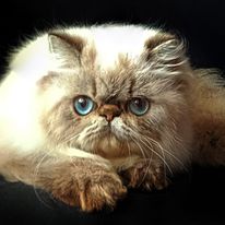 464600053_1654847951765757_6444356351070774545_n