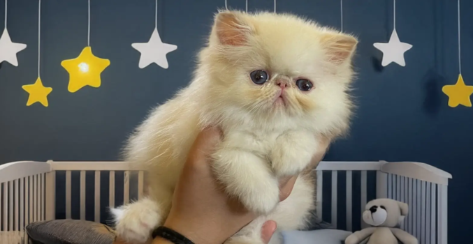 Portées disponibles