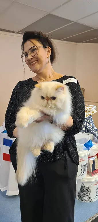 Isabelle Despax, éleveuse professionnelle persans et exotics